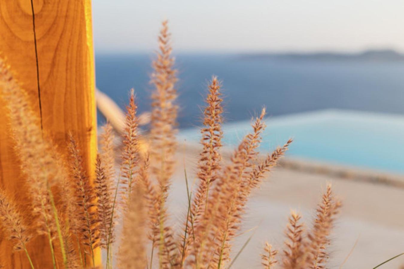Birdhouse Private Luxury Suite Agios Ioannis Diakoftis Dış mekan fotoğraf